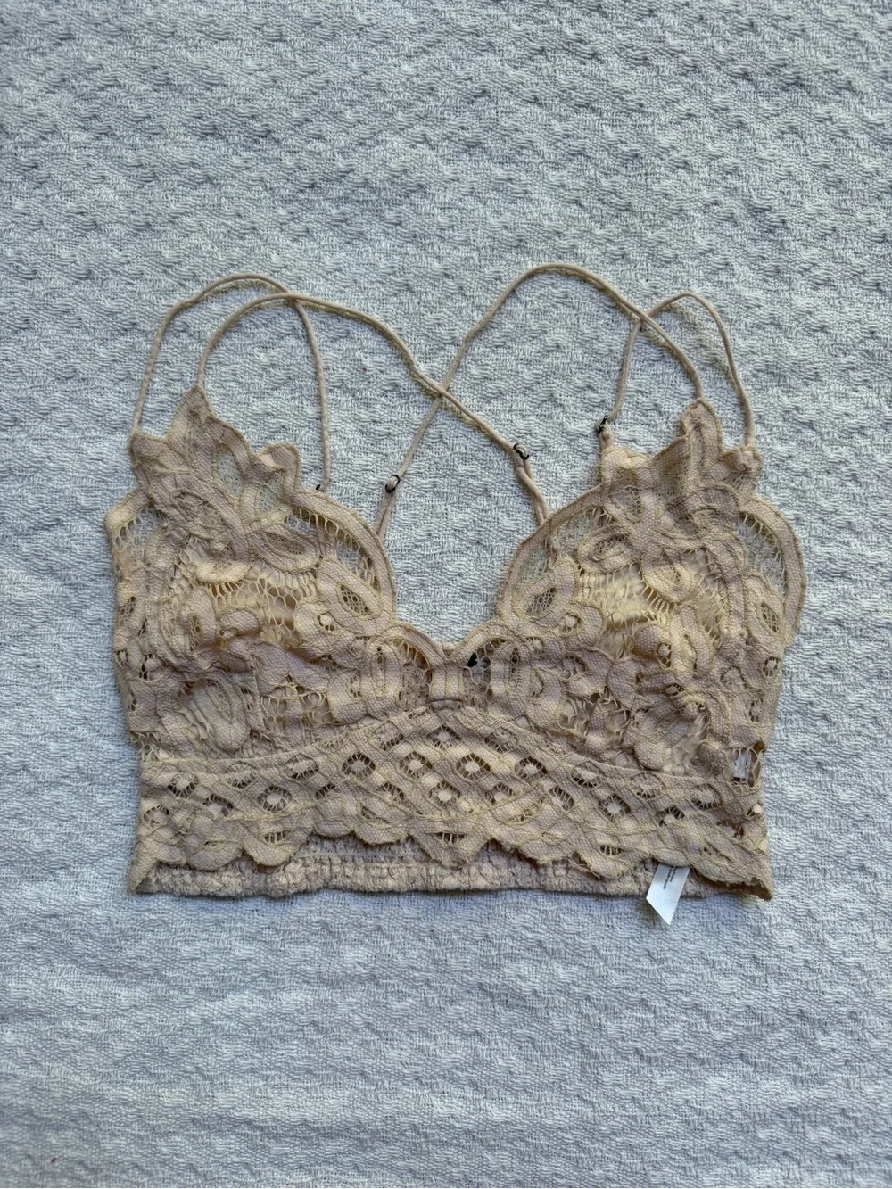 Free People Lace Bandeau Bralette in Taupe